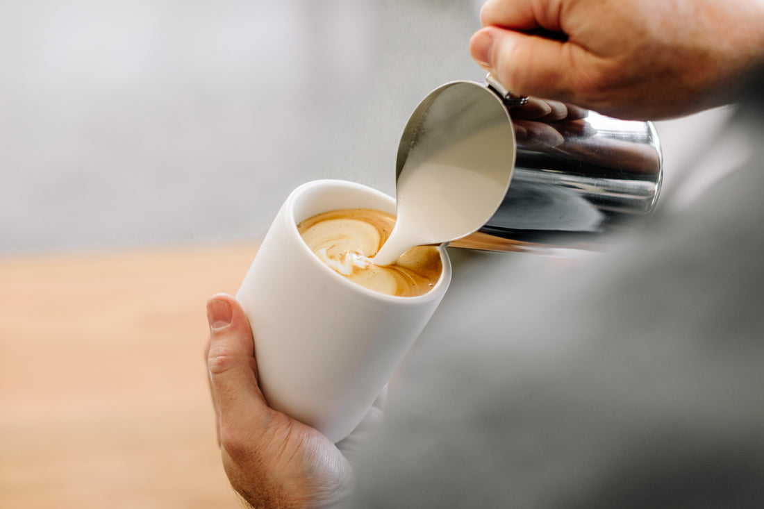 的涡流蒸投手18盎司-石墨